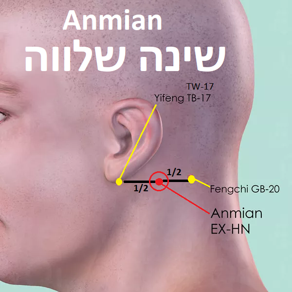 נקודת דיקור נקודות מיוחדות ANMIAN