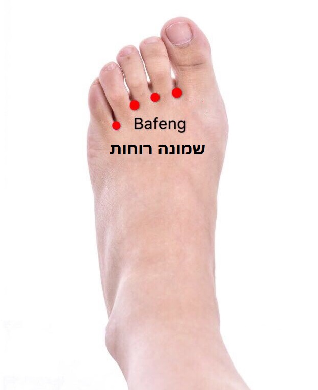 נקודת דיקור נקודות מיוחדות BAFENG