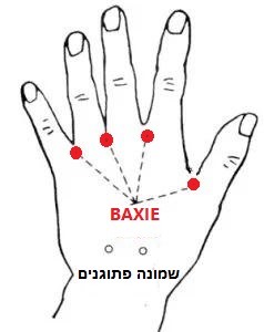 נקודת דיקור נקודות מיוחדות BAXIE