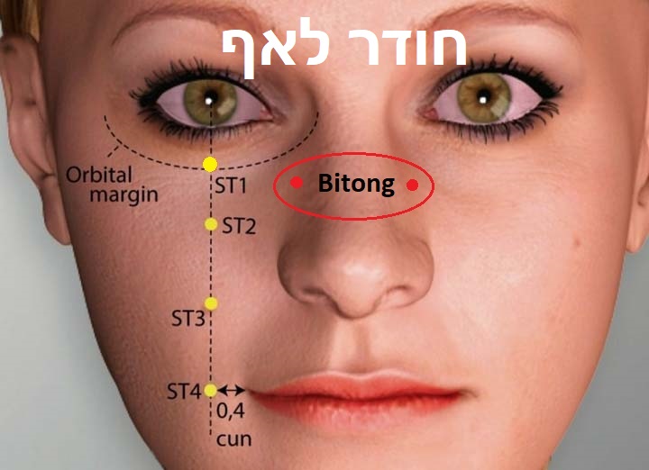 נקודת דיקור נקודות מיוחדות BITONG