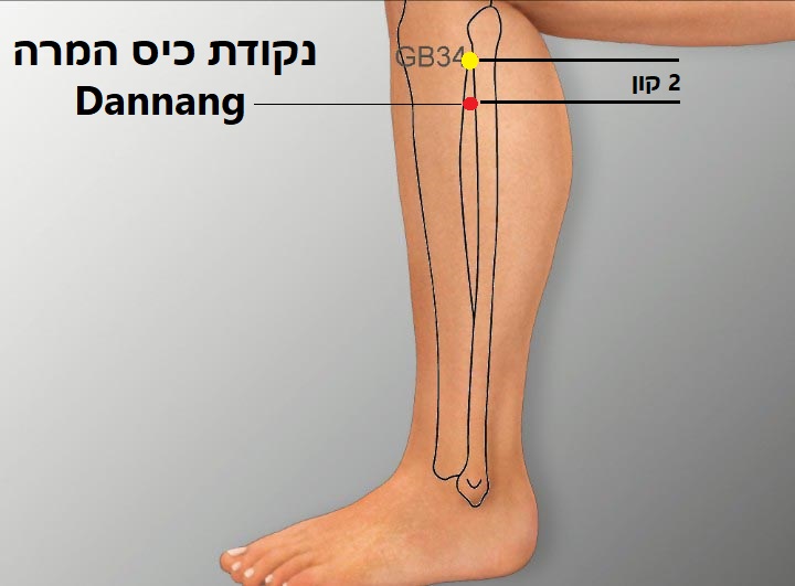 נקודת דיקור נקודות מיוחדות DANNANG