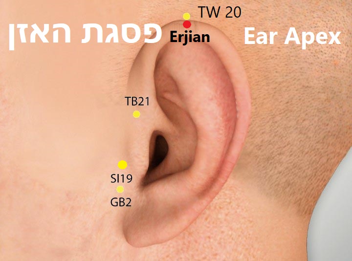 נקודת דיקור נקודות מיוחדות ERJIAN