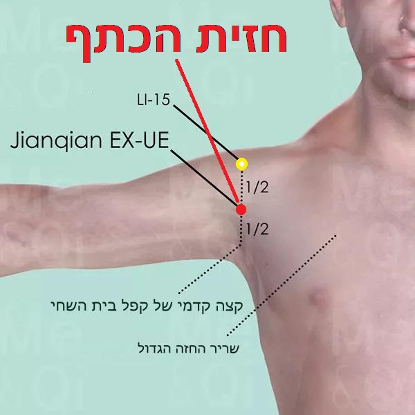 נקודת דיקור נקודות מיוחדות JIANQIAN