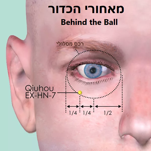 נקודת דיקור נקודות מיוחדות QIUHOU