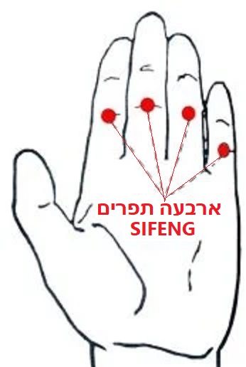 נקודת דיקור נקודות מיוחדות SIFENG