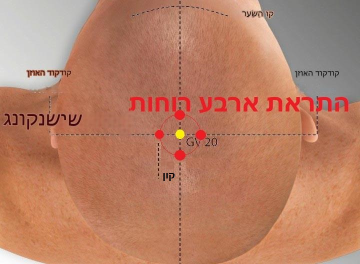 נקודת דיקור נקודות מיוחדות SISHENCONG