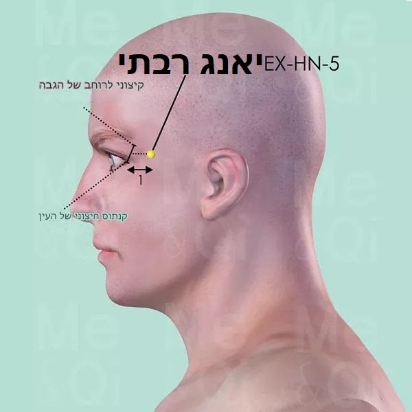 נקודת דיקור נקודות מיוחדות TAIYANG