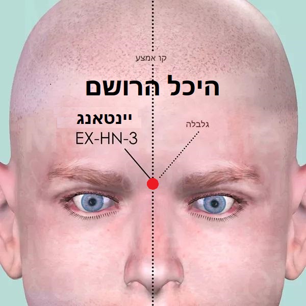 נקודת דיקור נקודות מיוחדות YINTANG